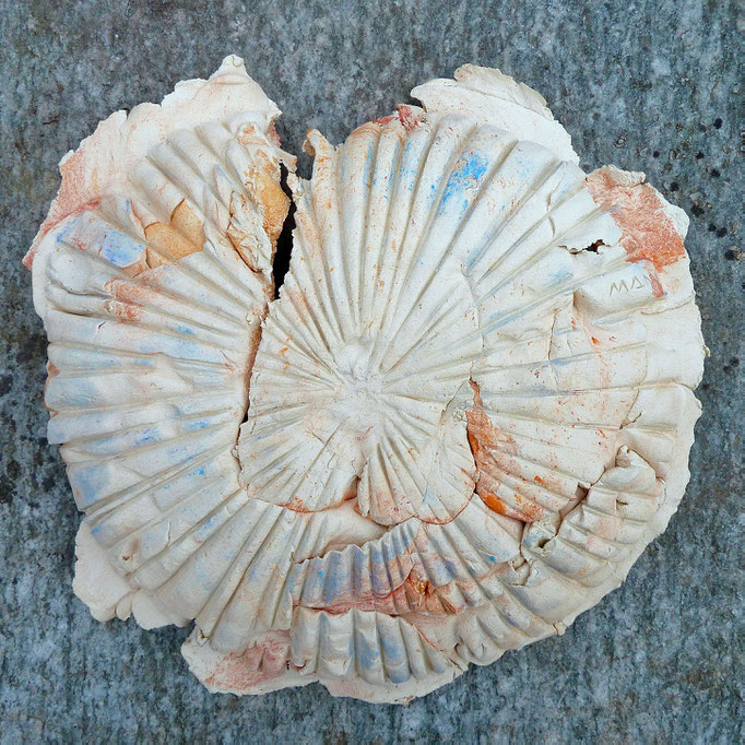 rays shell 4, 33x36x7 cm