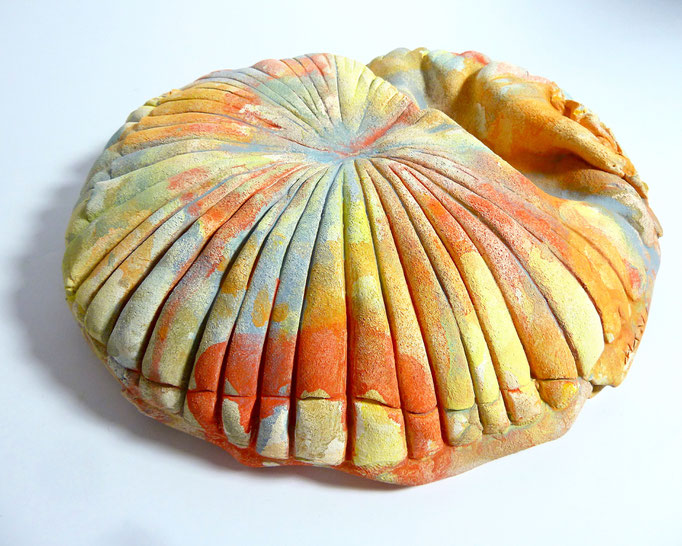 rays shell 2, 31x29x8 cm