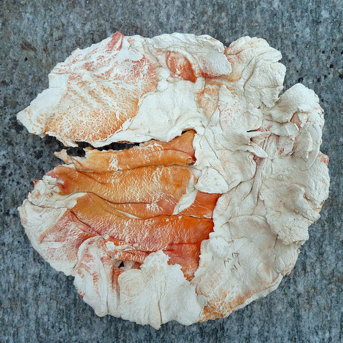 rays shell 4, 33x36x7 cm