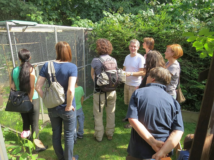 Am Mauerseglertag konnten Vogelfreunde die Wildvogelhilfe des NABU Leipzig besichtigen. In der Pflegestation werden in Not geratene Singvögel und Mauersegler betreut.</p>Foto: Beate Kahl