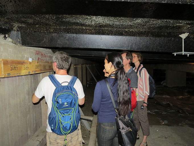 Auf Dachböden von Plattenbauten in Grünau finden Mauersegler Brutplätze in Nisthilfen, die vom NABU Leipzig betreut werden.</p>Foto: Hannes Berger
