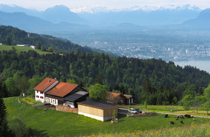 Der Innauer Hof über dem Bodensee. Foto: Erik Fichter