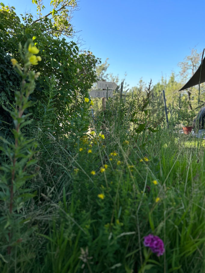 Grillplatz und Heublumenbad am Innauer Hof. Foto: Erik Fichter