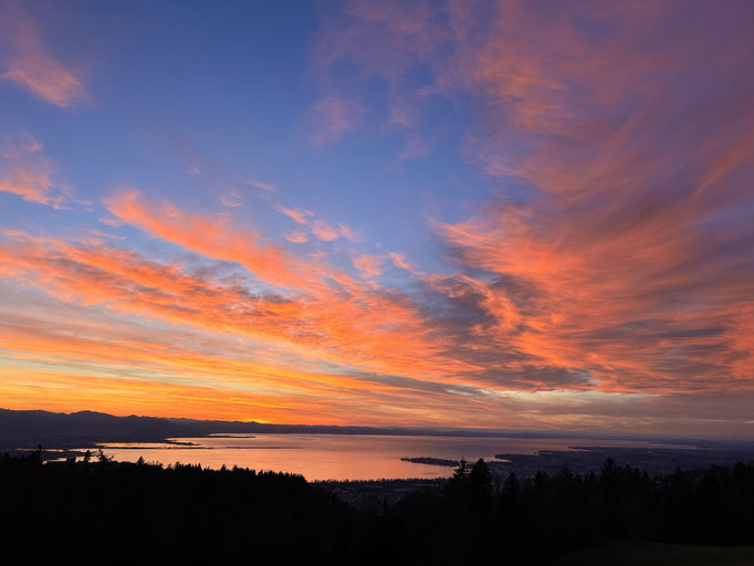 Urlaub mit Aussicht auf den Bodensee
