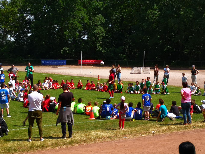 Fussball Programm Workshop
