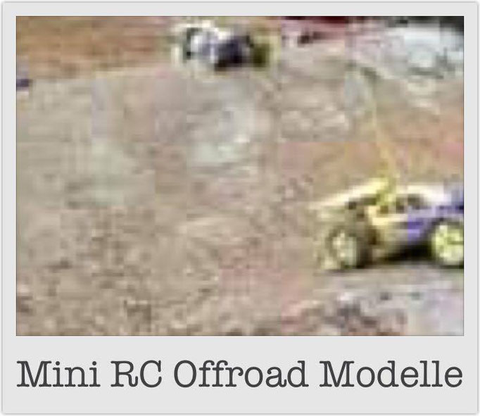 Mini RC Offroad Modelle