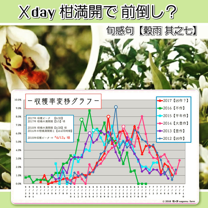 旬感句 【穀雨 其之七】 『Ｘday 柑満開で 前倒し？』