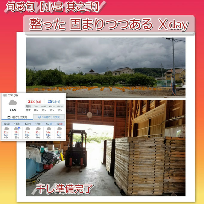 旬感句【小暑 其之弐】 整った 固まりつつある Ｘday