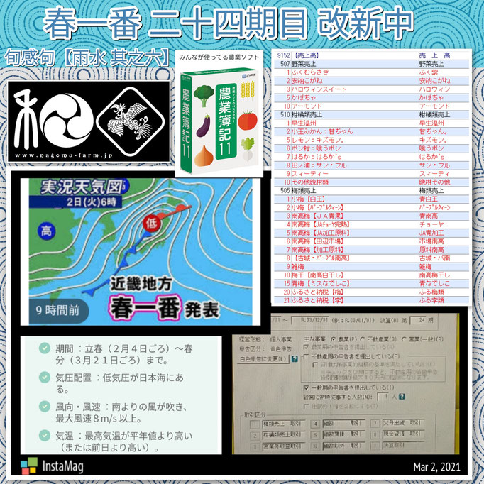 旬感句 【雨天 其之六】 『春一番 二十四期目 改新中