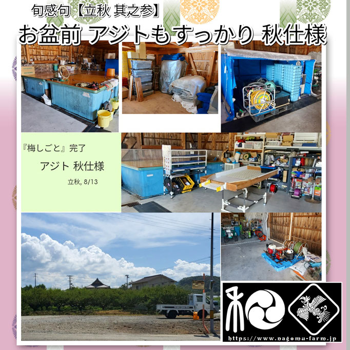 旬感句 【立秋 其之参】 『お盆前 アジトもすっかり 秋仕様』