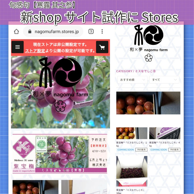 旬感句 【寒露 其之参】 『新shop サイト試作に Stores』