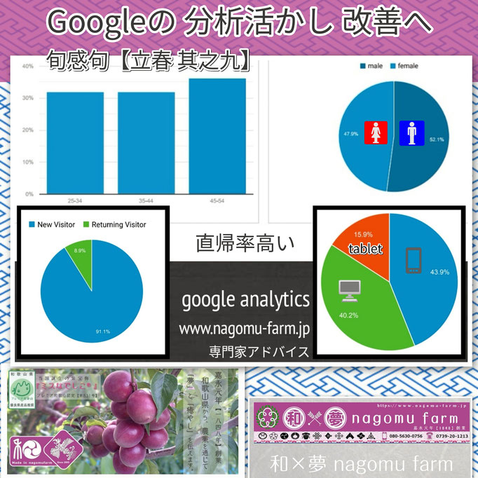 旬感句 【立春 其之九】 『googleの 分析活かし 改善へ』