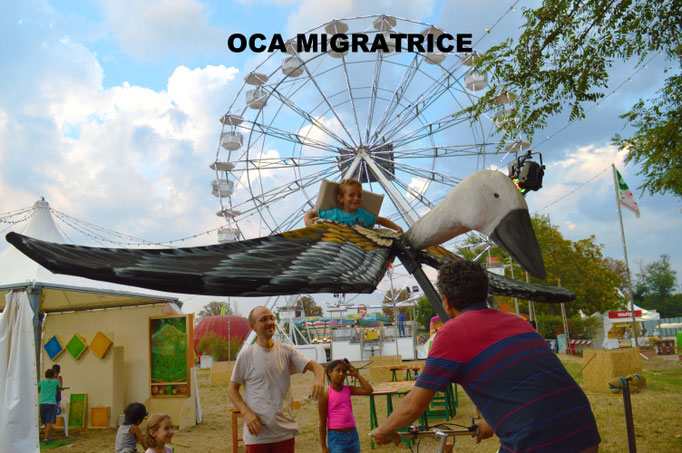 OCA MIGRATRICE