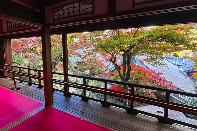上書院②柳谷観音 楊谷寺