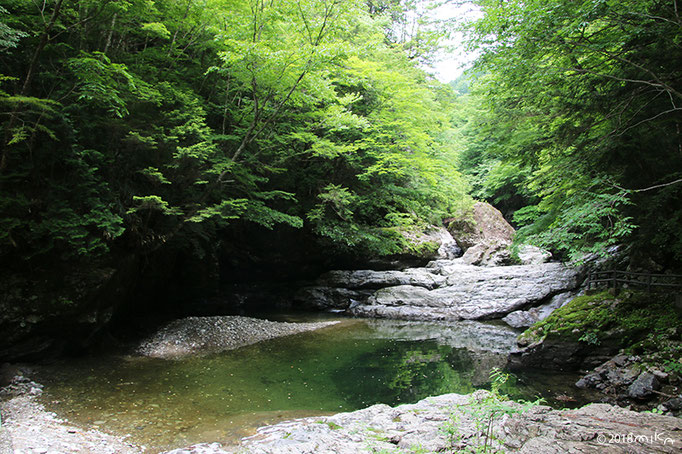 みたらい渓谷と吉野山