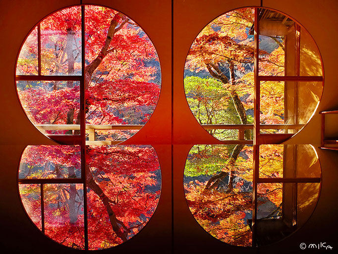 丸窓から紅葉（嵐山祐斎亭）