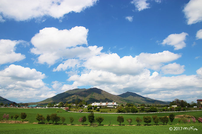 蒜山高原