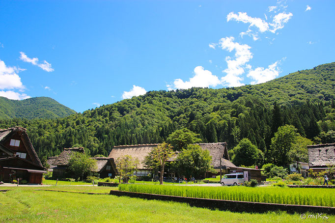 萩町合掌造り集落の風景