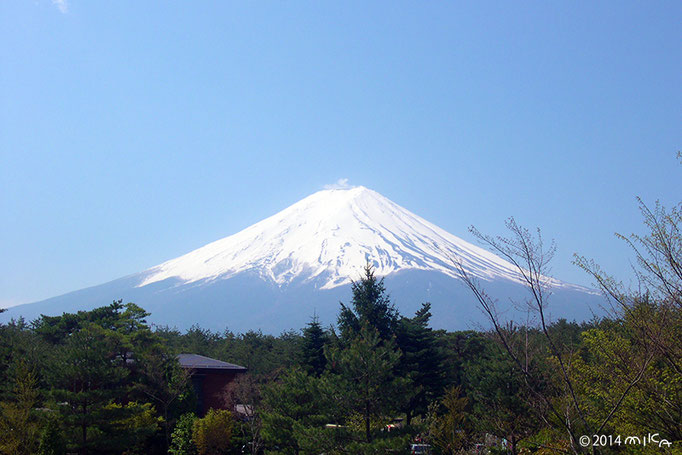 富士山