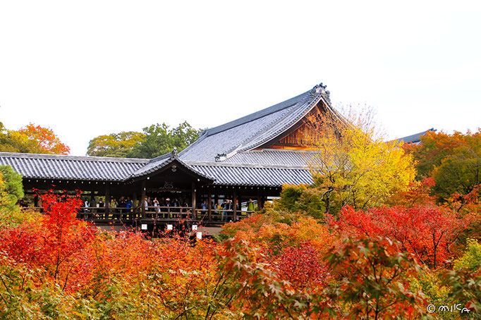 東福寺