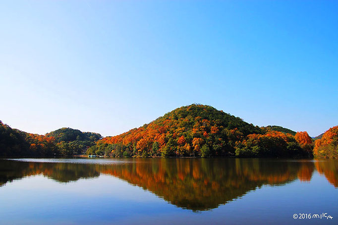 宝ヶ池公園
