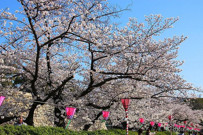 西の丸庭園入口付近