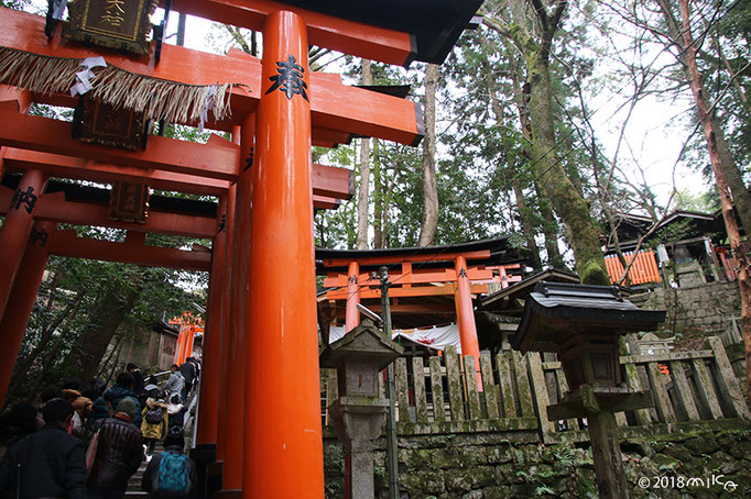 ずっと鳥居が続く山道（稲荷山）