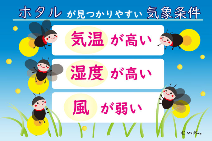 ホタル観賞の気象条件