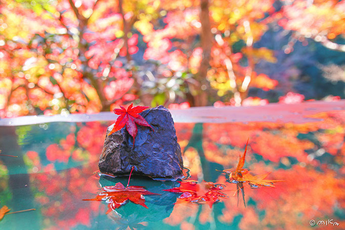 嵐山の紅葉（嵐山裕斎亭）