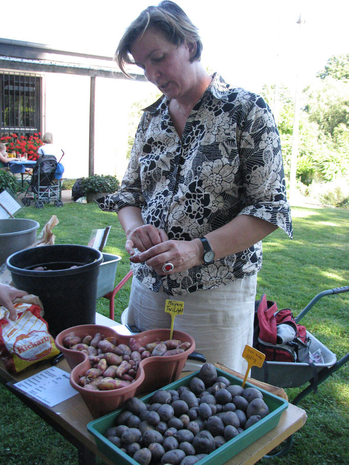 Am Verkaufsstand: Unsere "Kartoffel-Expertin" Carola Foto: Dr. Vicky Temperton