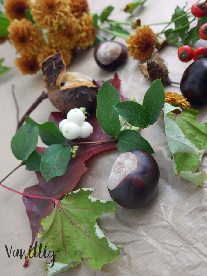 apfelmus, rezept, diy, freebies, etiketten, bastelidee, apfelmus, rezept, diy, freebies, etiketten, bastelidee, freeprintables, freebie, free printables