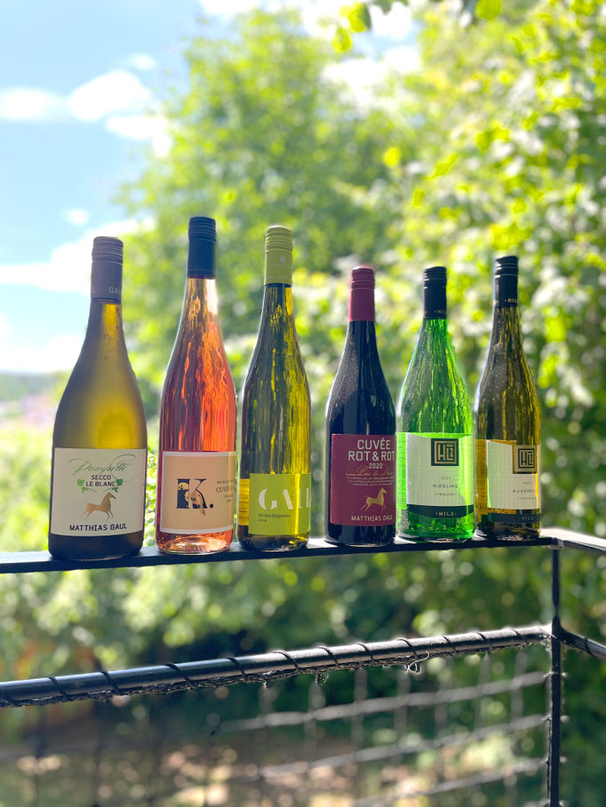 Ein 6er Paket guter regionaler Weine