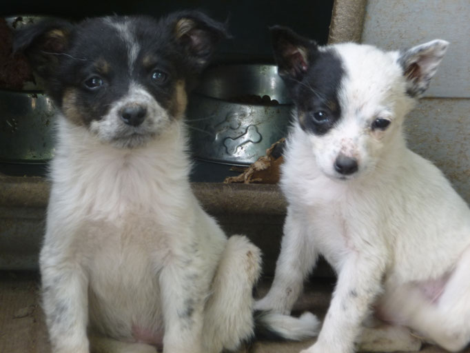 ein erstes Bild von Elma und Estrea