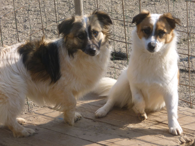Ava und Aly