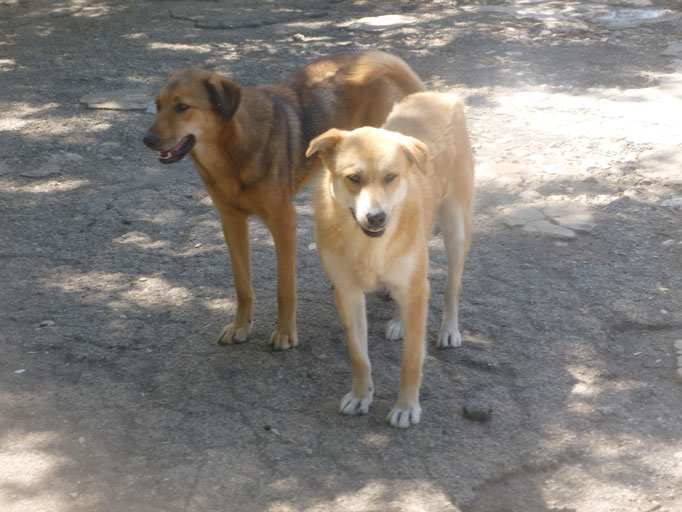 Albena und Amira 