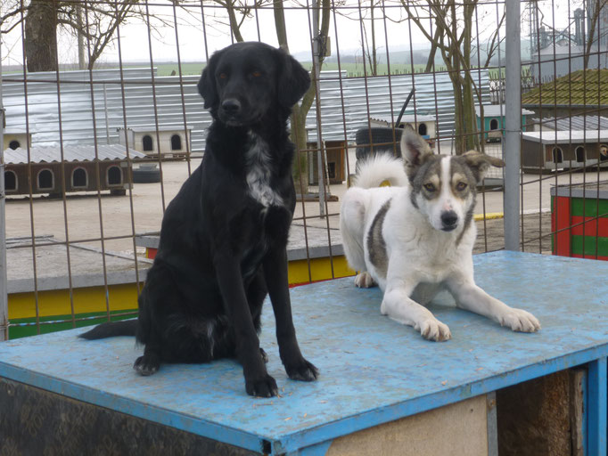 Nemo und Lucy