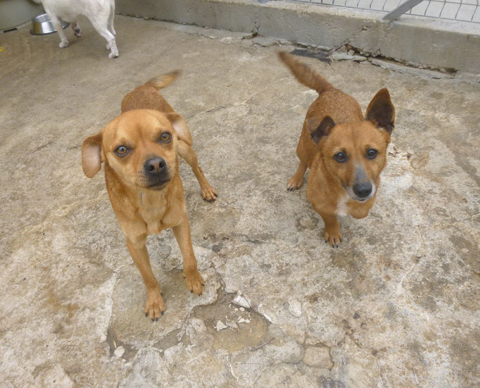 Grizli und Lucia