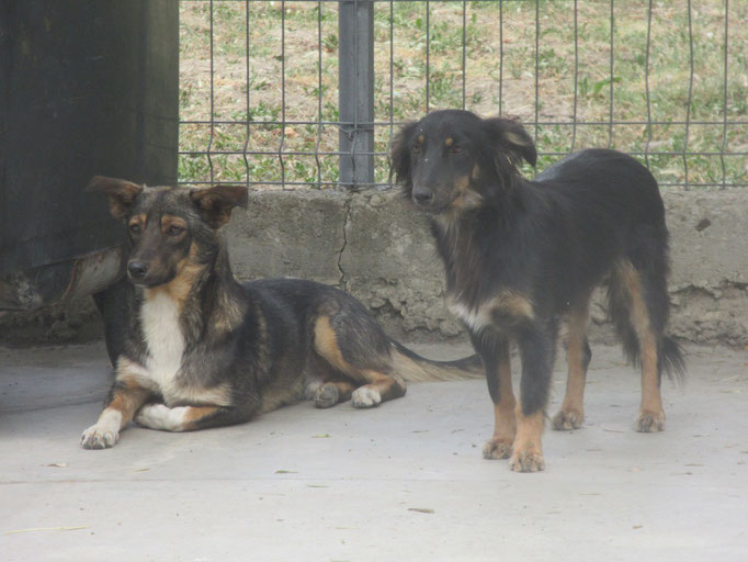 Franklin mit seiner Schwester Franka