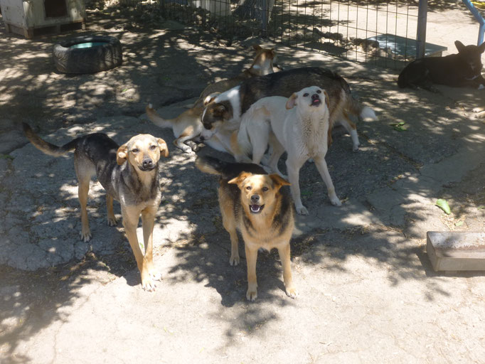 Valery, Vanina (Mitte) und ...
