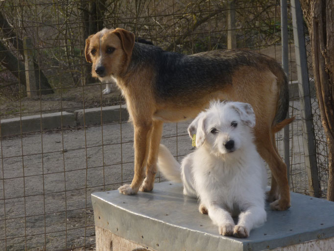 Betsy und Betina