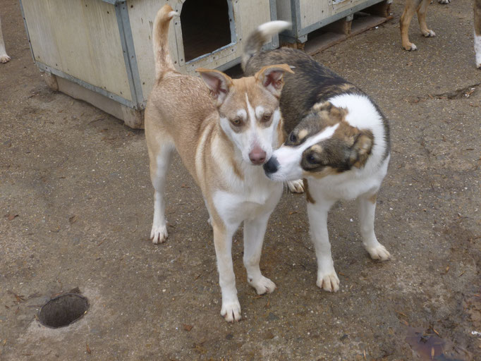 Casper und Colin
