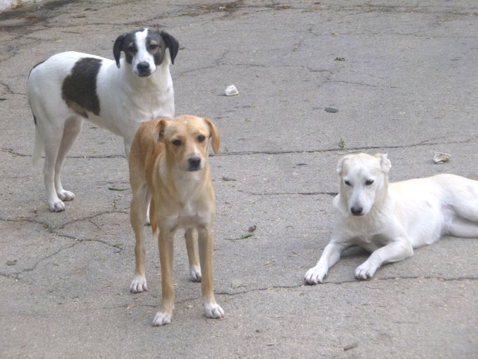 mit Daisy und Marisa