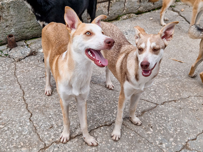 Casper und Candy