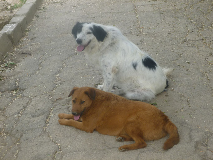 Nina mit Lotti 