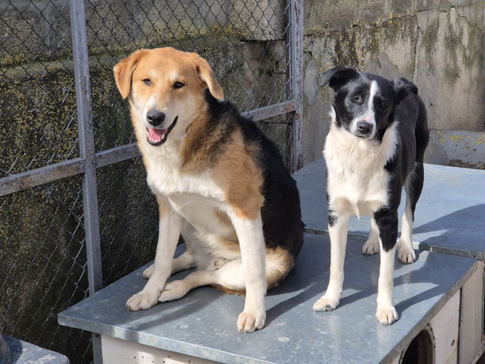 Diego und Darla im Februar 2026