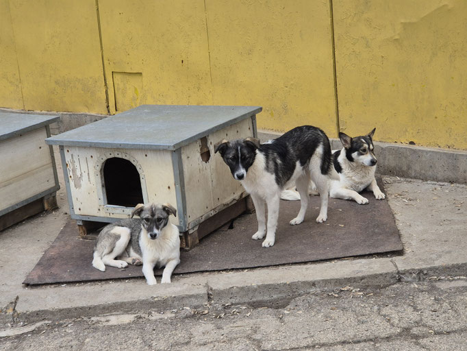 Claudia, Calvin (mitte) und Mama Cleo im Mai