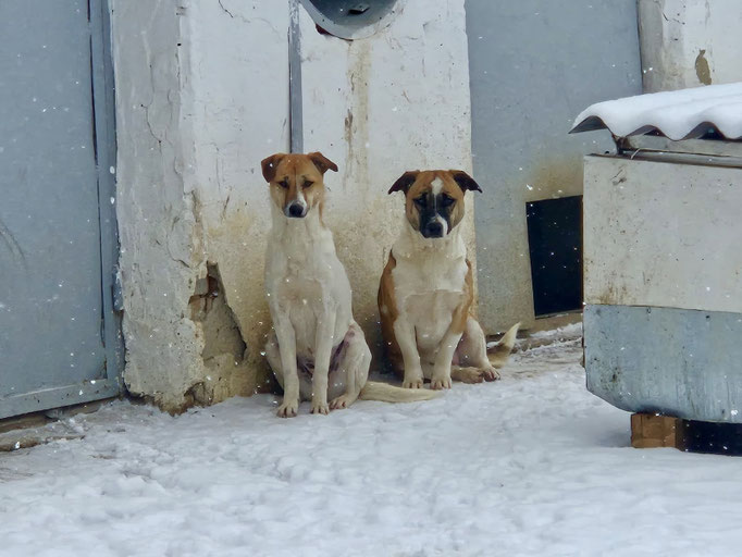Roxane und ihre Schwester Roxy 
