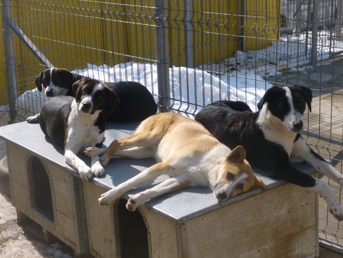 Robie, Bloom und Lucky
