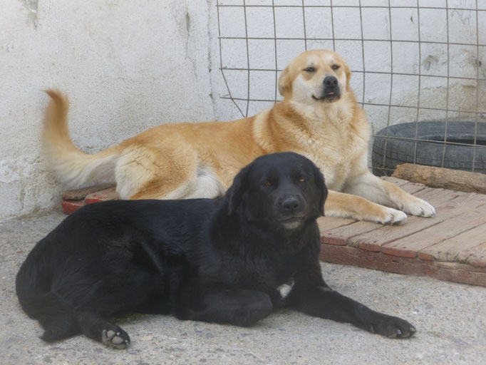 Anora und Albena
