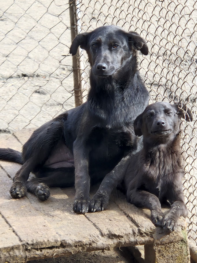 Naomi mit ihrer kleinen Schwester Nelina im Februar